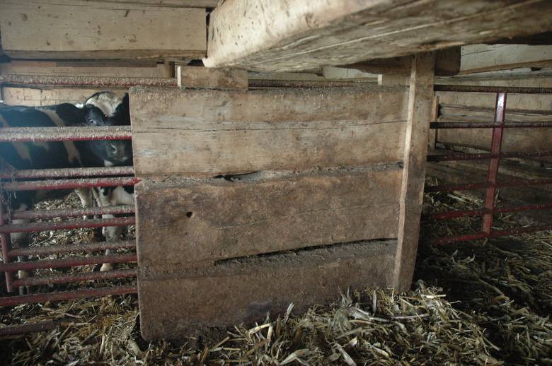 Double Pen Log Barn / 42x70 Bank Barn. Interior and Exterior photos.